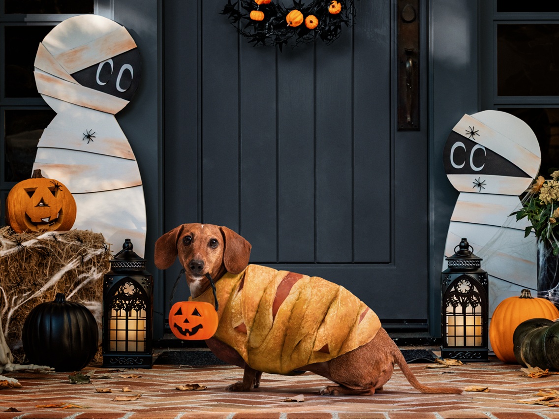Pillsbury brings Crescent Mummy Dogs to life with a limited-edition Halloween dog costume.